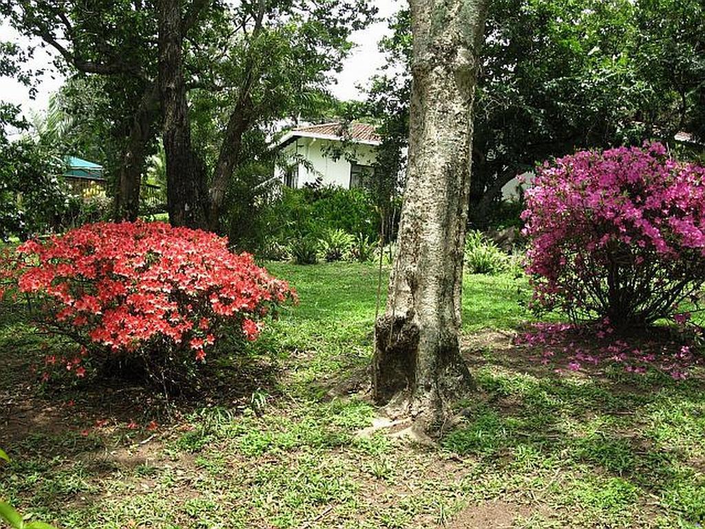 Mdoni House Guest Lodge Port Shepstone Exterior foto